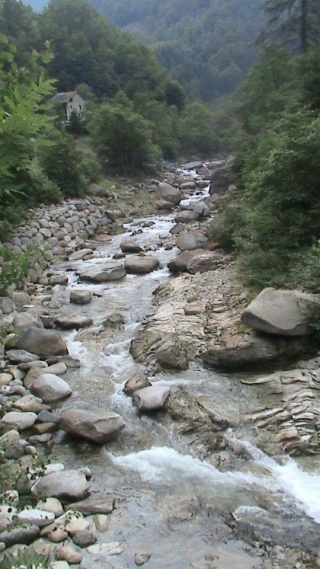  沉浸在大自然中 